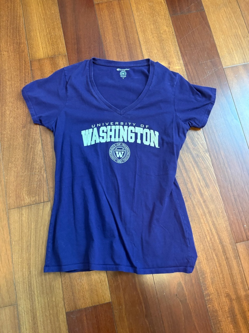Champion University of Washington V-Neck Tee in Purple